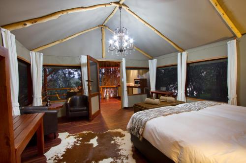 Camp Nkwazi 