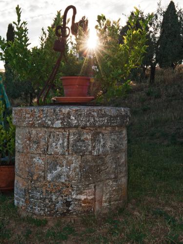 Agriturismo La Buca Di Bellugi 