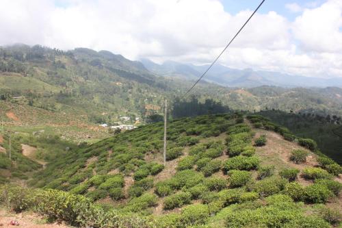 Mountain View Holiday Bungalow Haputale 