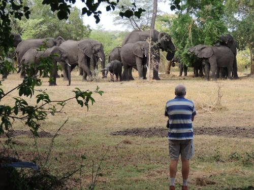 Bushbuck River House 
