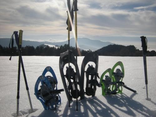 Dolomitissime Holiday Homes Alleghe 