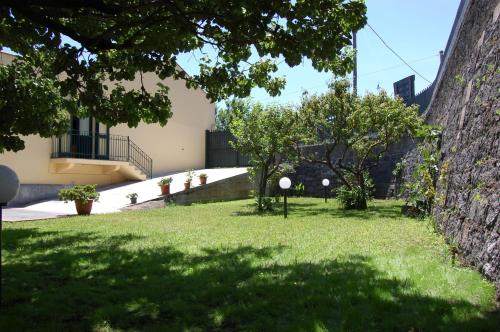 Albicocche House 