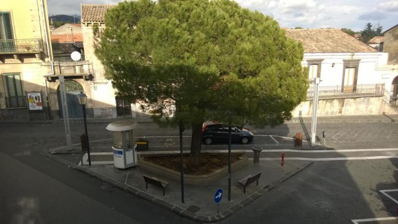 Il Cherubino General view