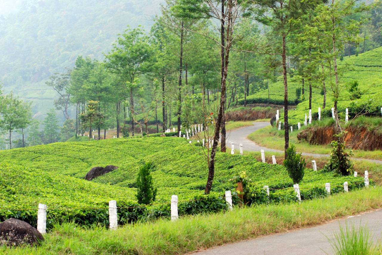 Deep Woods Resort 