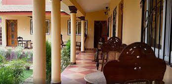 Zenobia Leisure 