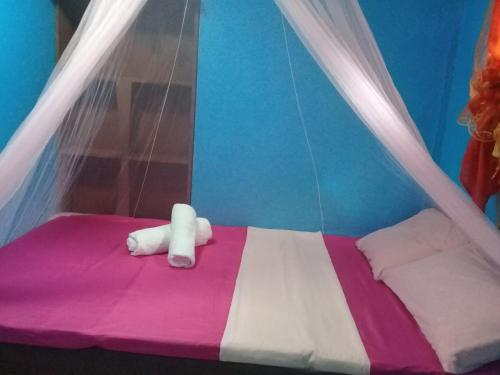 Jed Backpackers Inn 