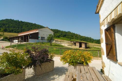 Agriturismo Alla Vecchia Quercia 