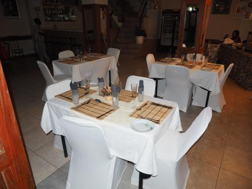 Panama Lodge And Tours 