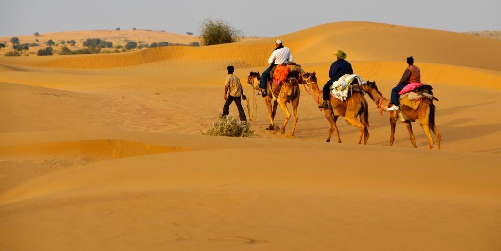 Royal Desert View Resort 