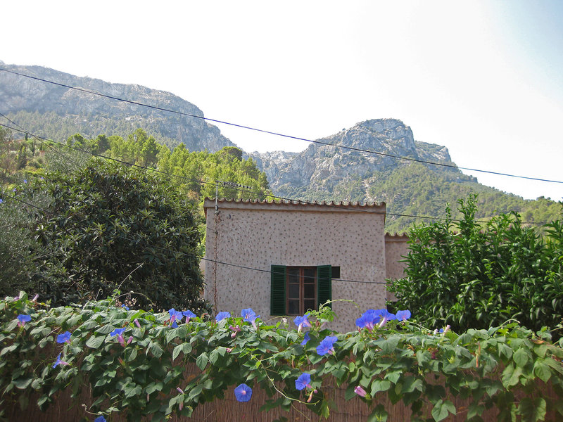 Can Valenti General view