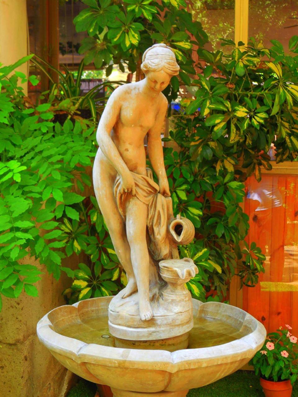 Fiori D'arancio 