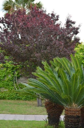 B&b Villa Marilena 