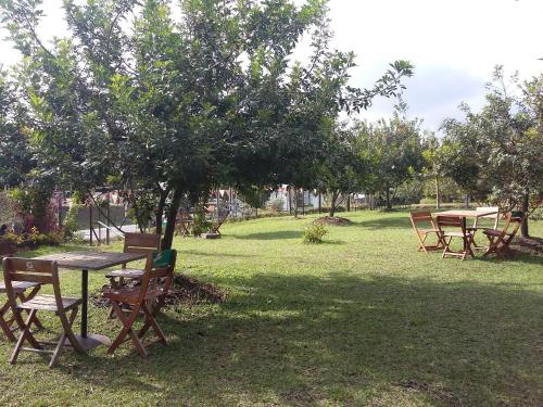 Star Hostal Club De Tenis 