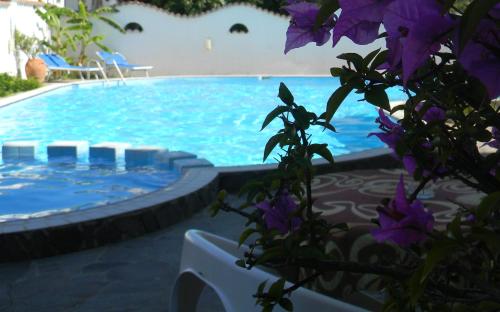 Hotel Punta Faro 