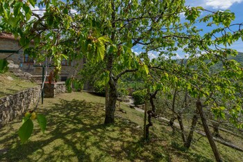 Agriturismo Casa Passerini A Firenze Garden View