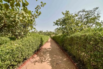 Pushkar Rajwara Resort Garden