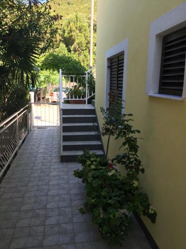 Apartments Ljiljana 