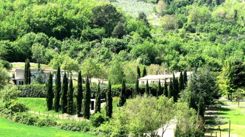 Fontepino 