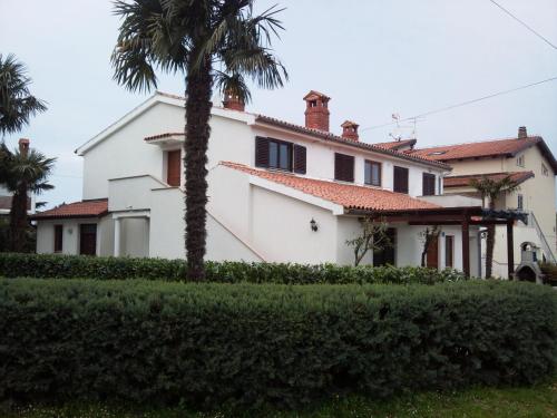 Apartments Lana 