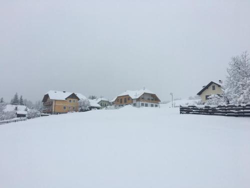 Ferienwohnung Landschitzseen 