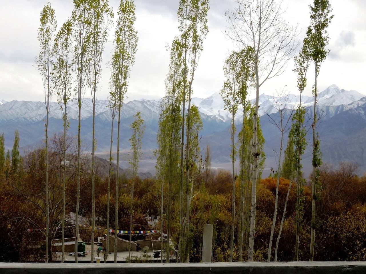 Rahela Guest House & Home Stay 