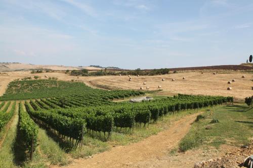 Agriturismo Bagnaia 