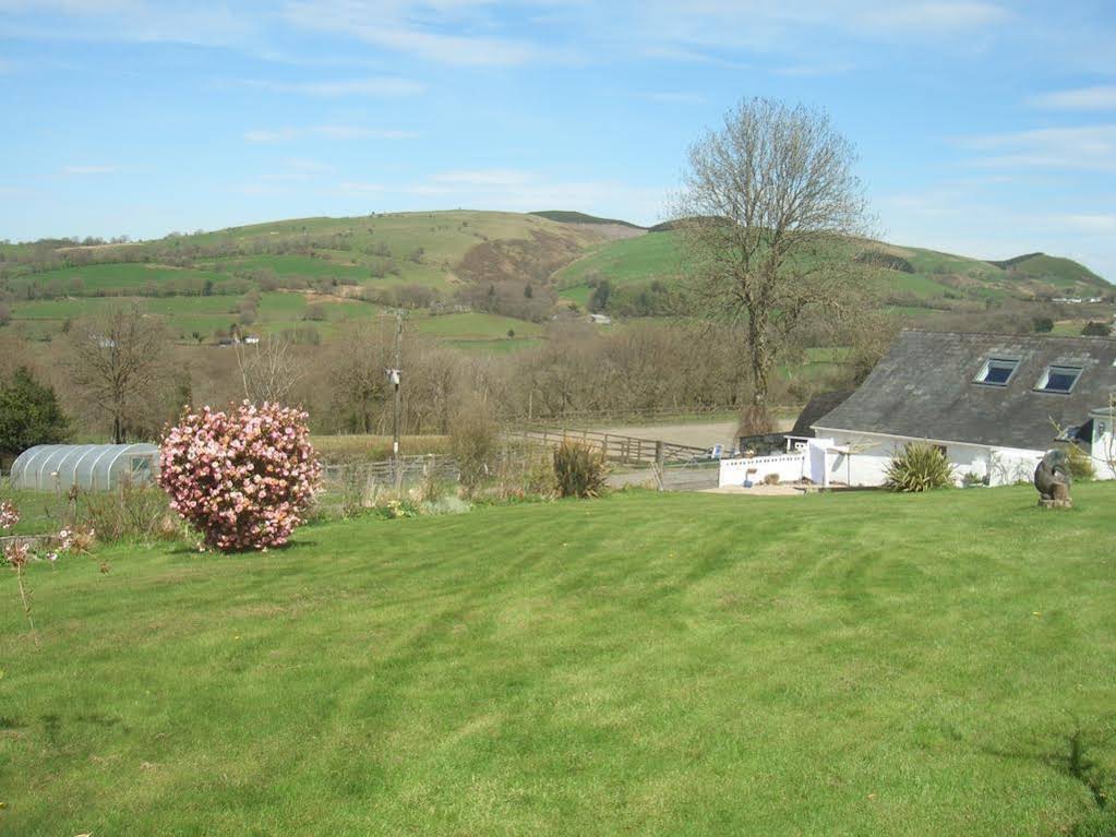Gwarllwyn 