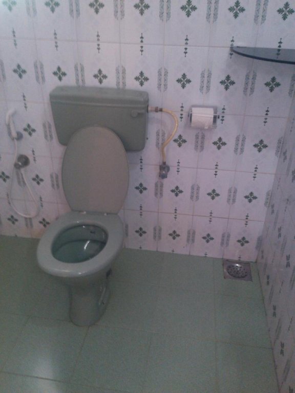 Patanjali Resort 