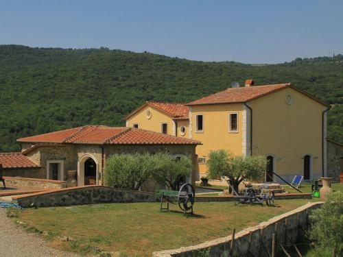 Olivo 1 