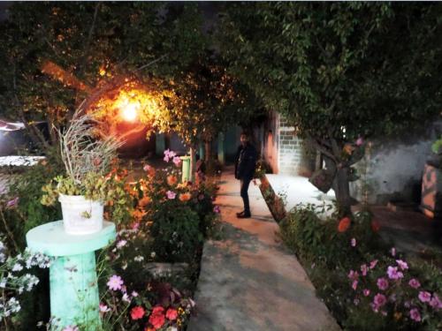 A O Guest House & Home Stay 