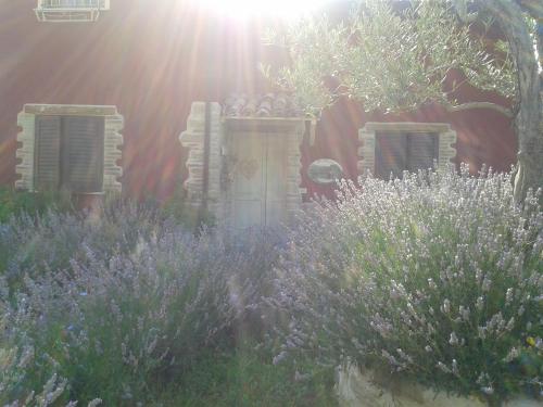 B&b Fonte Cugno 