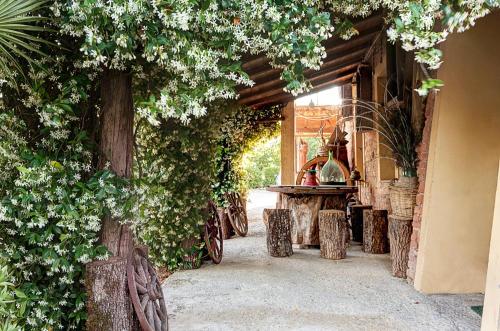 Appartamenti Alcantara E Damasco 