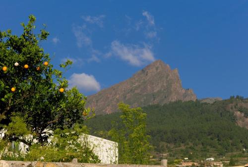 Casa Del Cura Viejo 