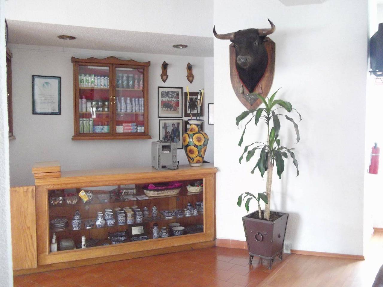 Hotel La Posada 