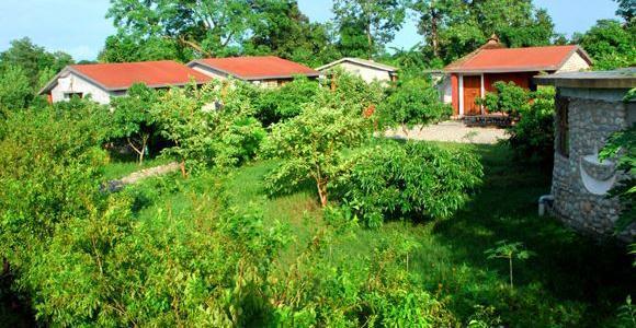 Jaagar The Spirit Of Corbett 