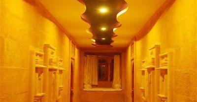 Hotel Saraswati Palace 