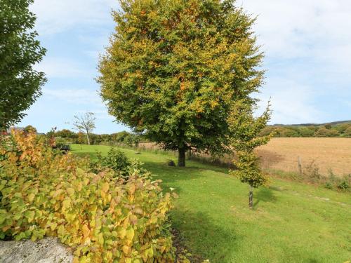 7 Horizon View Liskeard 