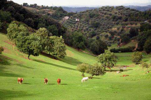 Agriturismo Le Mandriacce (آگریتوریسمو ل ماندریاكس) 