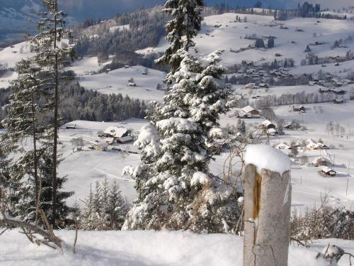Chalet Sunneschyn 