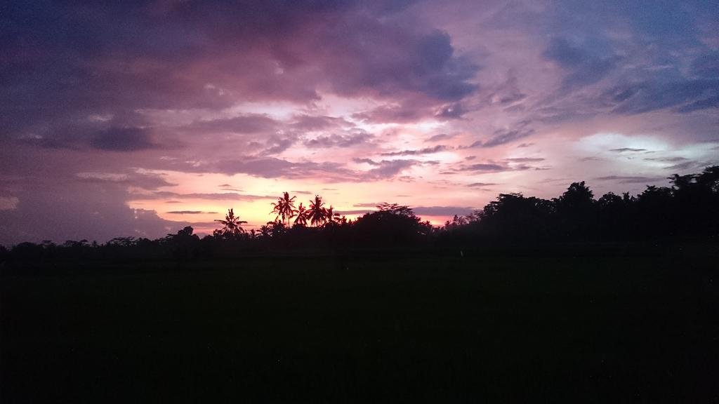 Anita's Ubud Villa 