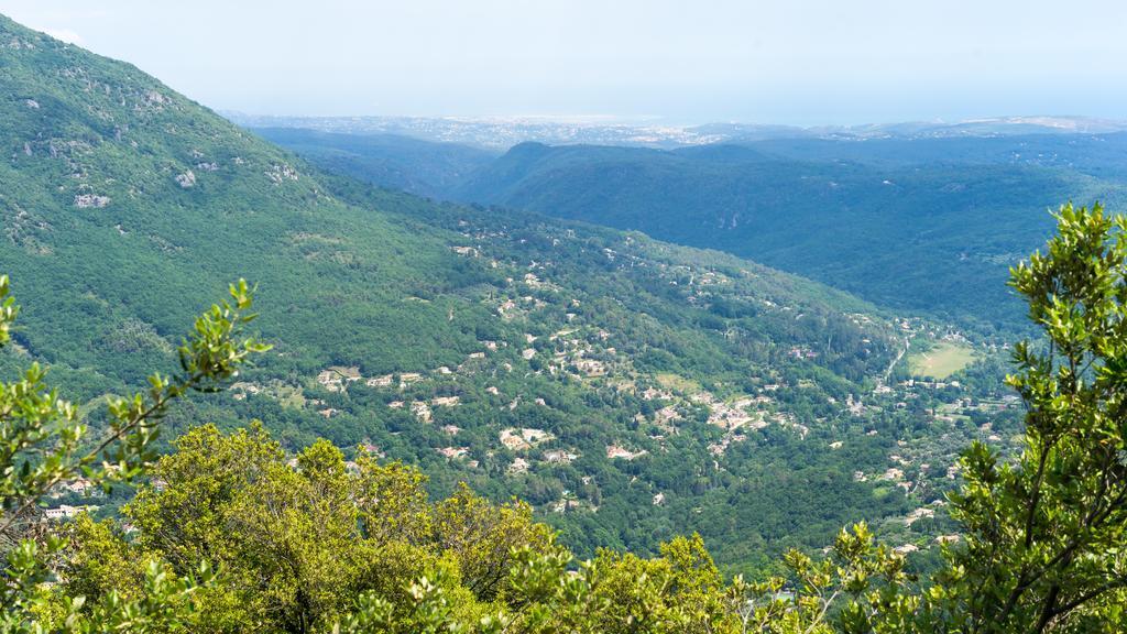 Va Bene (وا بن) 