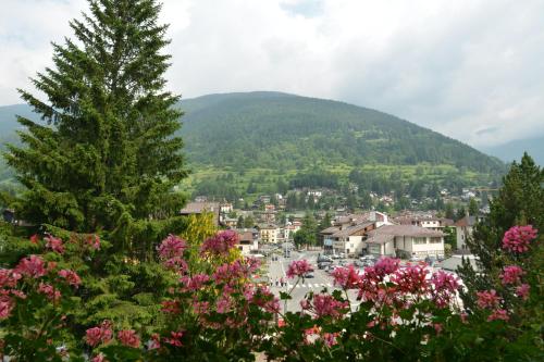 Hotel Pineta 