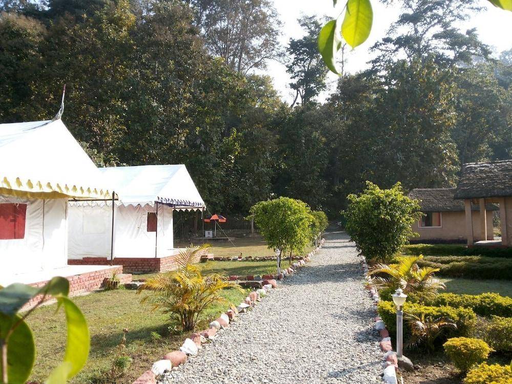 Jungle Eco Resort 