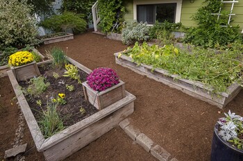 6 Luxurious 6br Seattle Home Garden