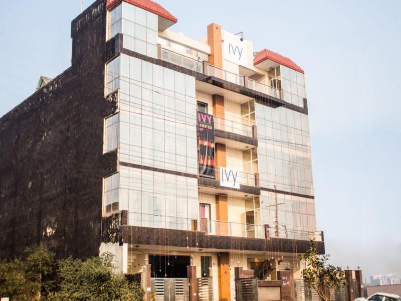 Ivy Hotel 