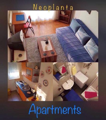 Neoplanta Apartments 