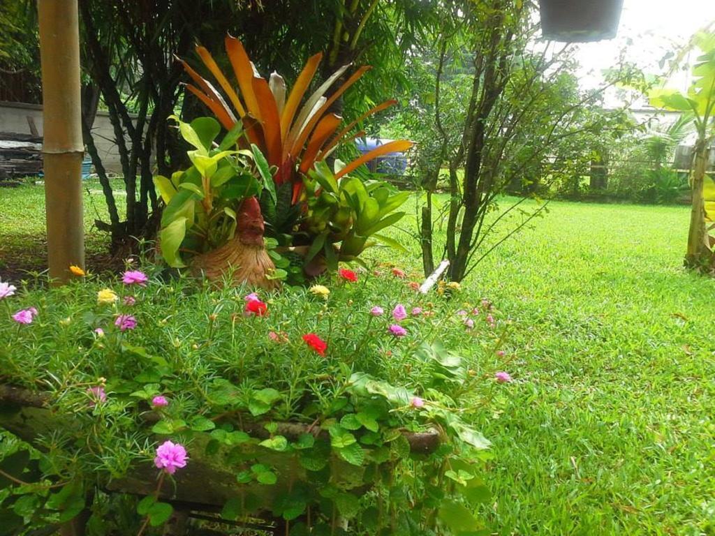 Garden Room Hostel (گاردن روم هاستل) 