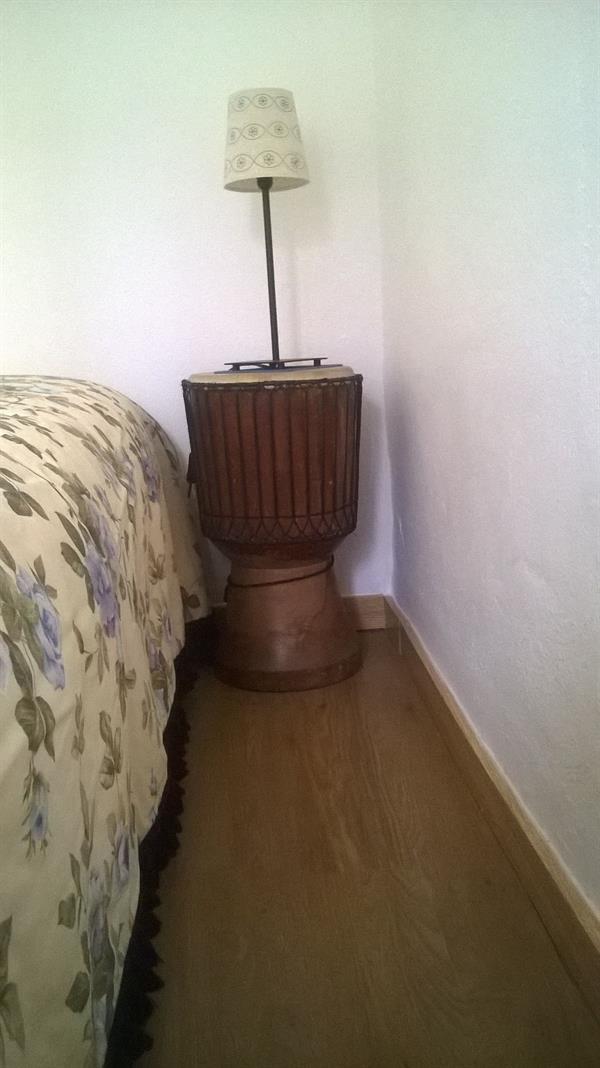 Cats House 