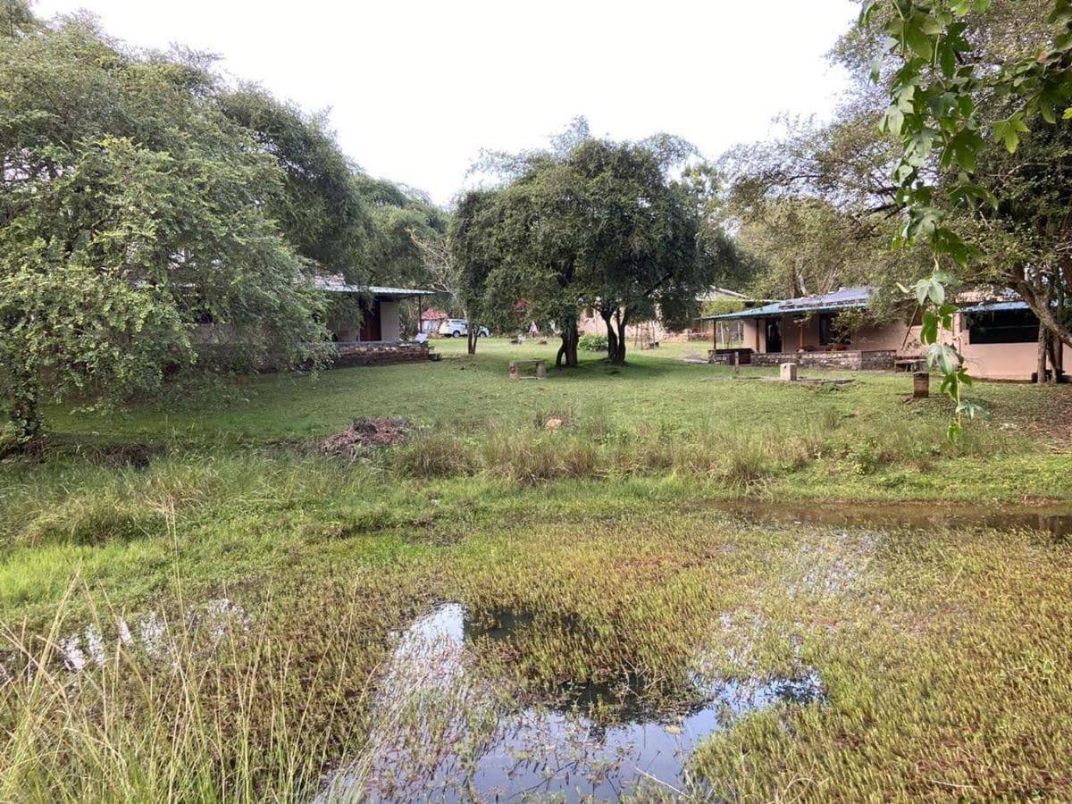 Jungle Hut 