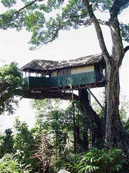 Munnar Inn 
